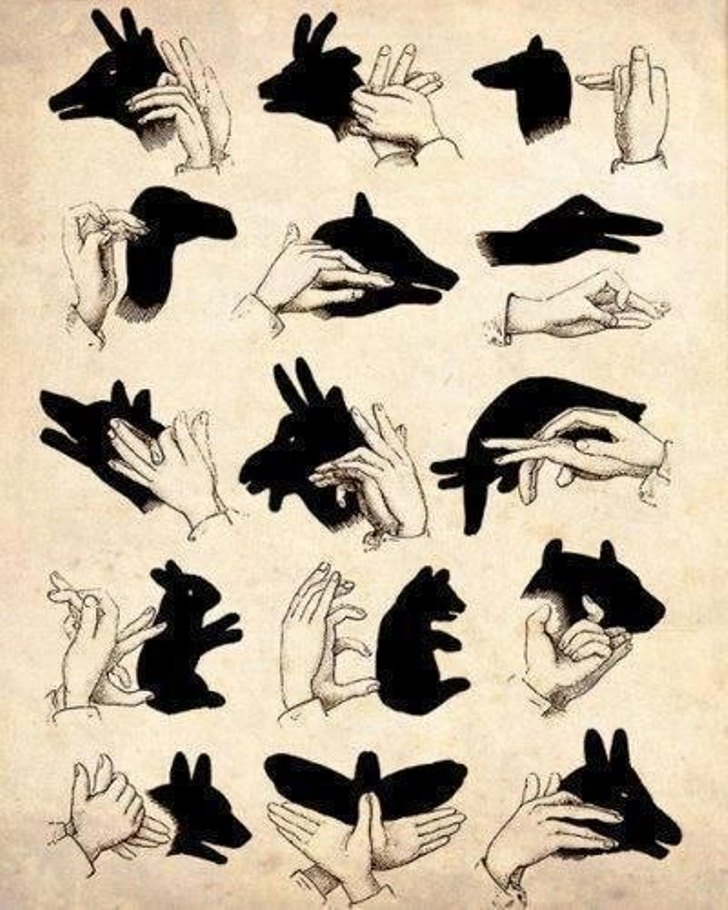 Заняття на вечір: Як робити тіні на руках - фото 1