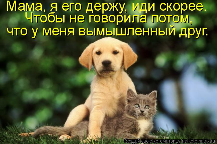 День дружби: 20 картинок і софізмів про найважливіше - фото 2