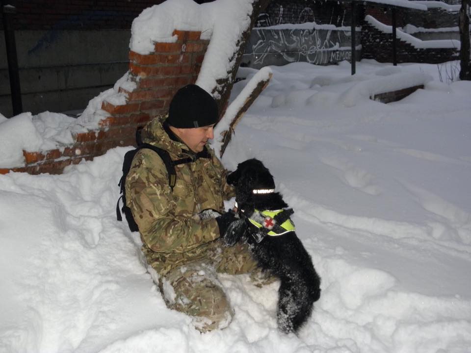 Чим займаються на Донбасі найкращі друзі бійців АТО - 2 - фото 9