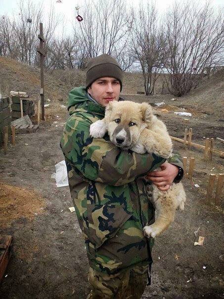 Чим займаються на Донбасі найкращі друзі бійців АТО - 2 - фото 8