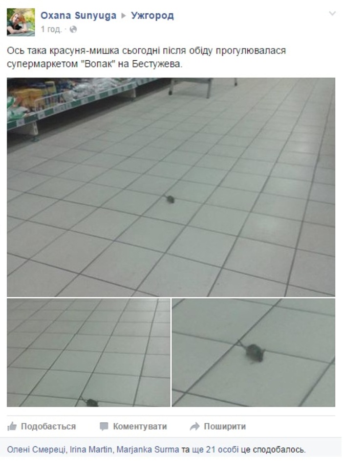 Як красуня-мишка вибирає смаколики в ужгородському супермаркеті - фото 1