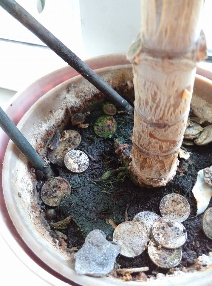 У Солом’янському суді працюють язичники (ФОТО) - фото 1 У Солом’янському суді працюють язичники (ФОТО) - фото 1