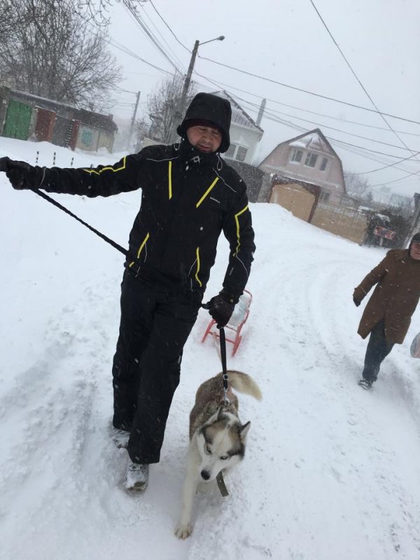 Через снігові замети одесити їздять в магазин на собаках - фото 3