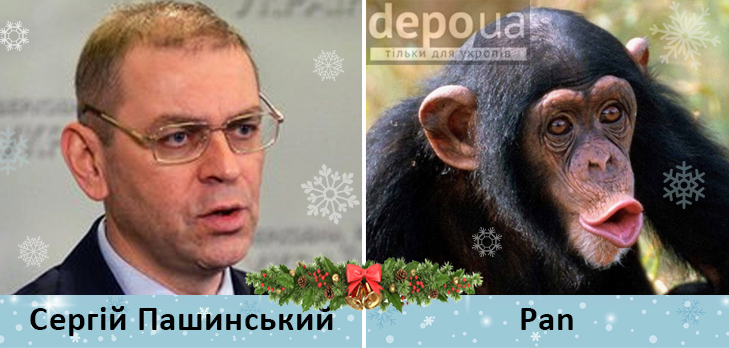 Політики та мавпи - фото 9 Політики та мавпи - фото 9