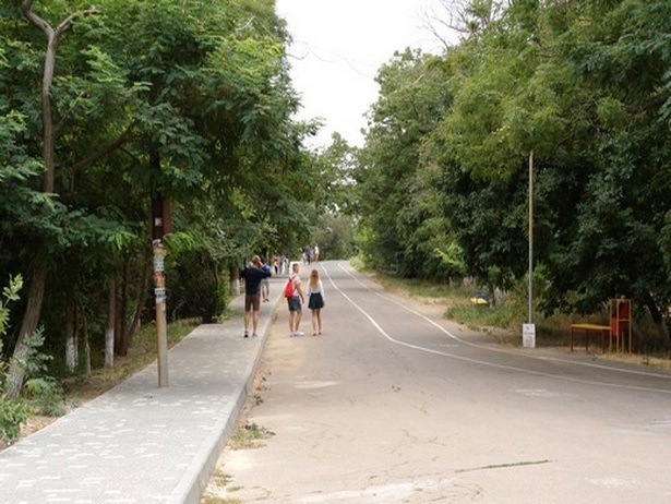 Траса здоров'я в Одесі до кінця року відремонтується - фото 3