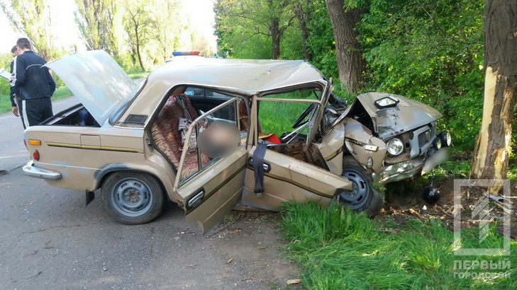 На Дніпропетровщині автівка з священниками врізалась у дерево - фото 1