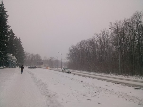 У Харкові розпочався потужний снігопад - фото 4