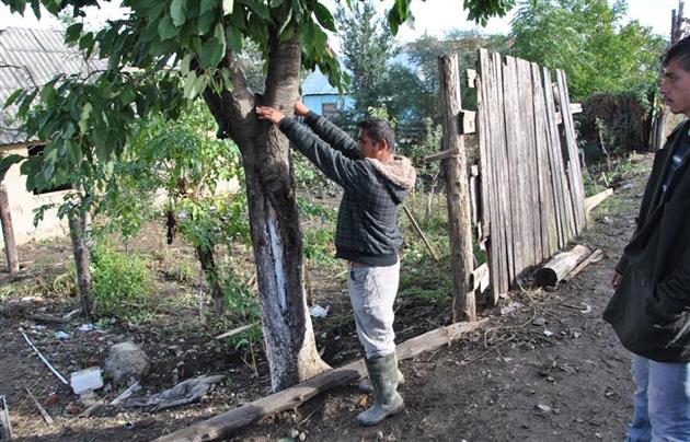 У Мукачеві, на згарищі будинку барона, роми активно ведуть розкопки - фото 6