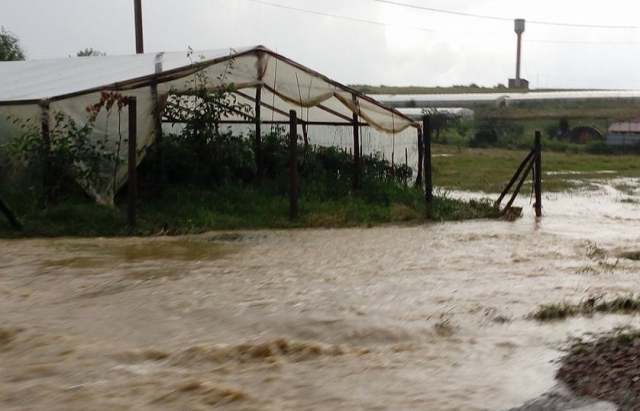 На Закарпатті затопило район, який тиждень тому понищило градом (ФОТО, ВІДЕО) - фото 1