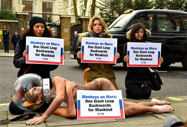 Порнозірка роздяглася біля посольства Росії в Лондоні - фото 1