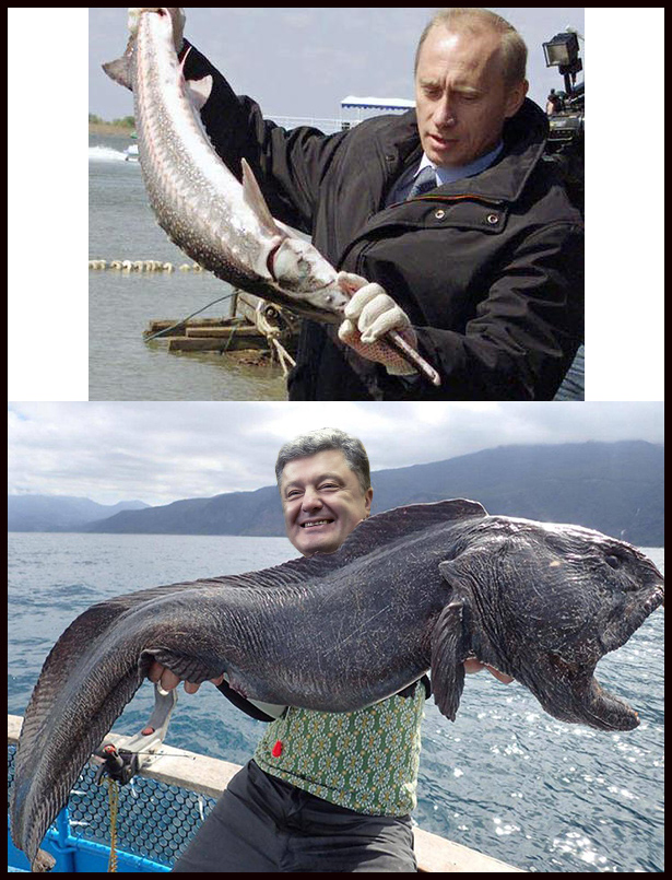 Порошенко-Путін. Президенти різні - піарщикі однакові (ФОТОЖАБИ) - фото 7