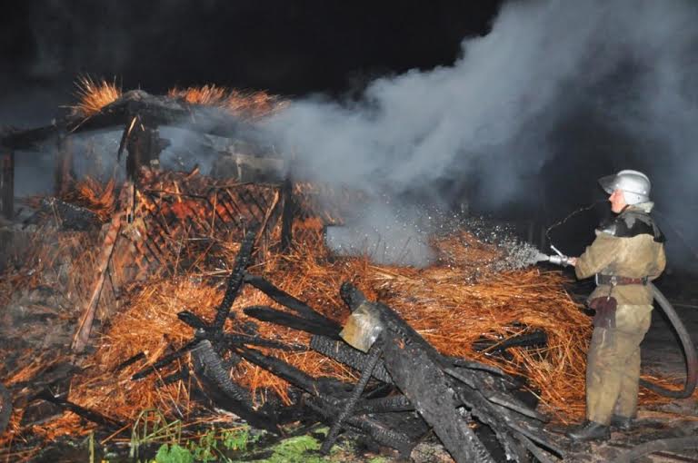 У Запоріжжі блискавка спалила історичний комплекс "Запорізька Січ" - фото 5