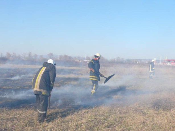 За вихідні на Закарпатті згоріло 80 гектарів сухотрав'я  - фото 1