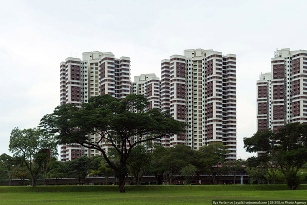 Сингапурське диво (ФОТО) - фото 1