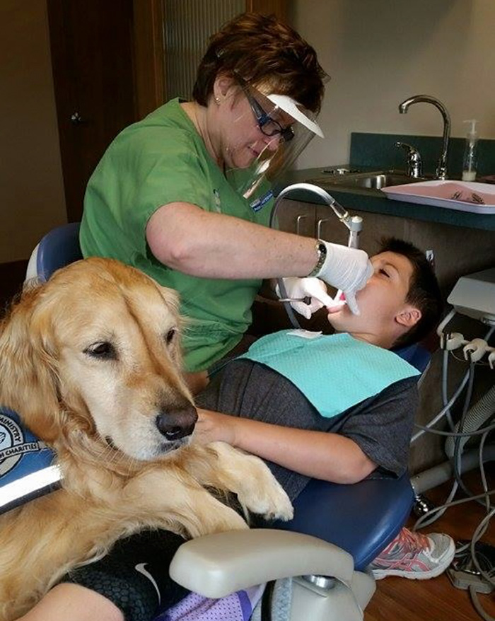 Як лабрадор працює стоматологом - фото 4