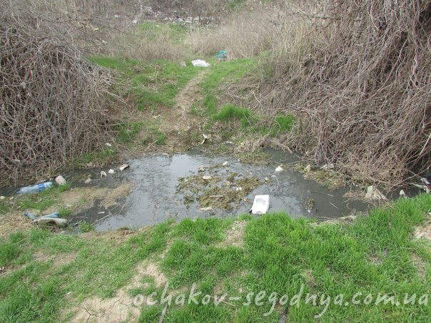 В Очакові невідомі зливають нечистоти в Дніпро-Бузький лиман - фото 1