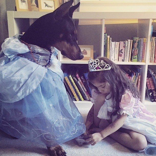 Якою зворушливою може бути дружба маленької дівчинки і добермана - фото 1