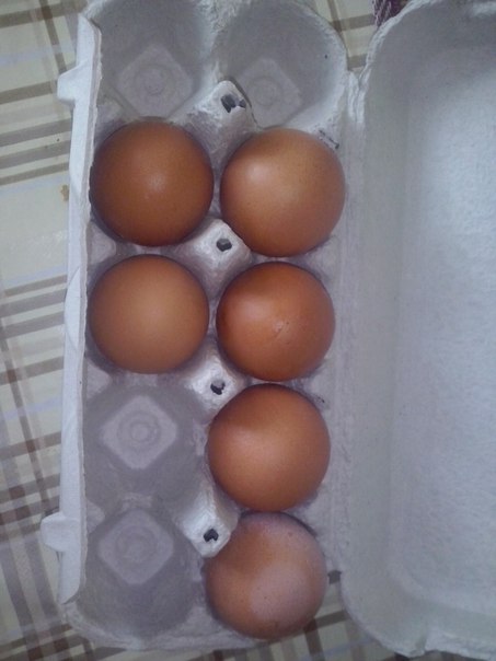 6 яєць замість 10: як у миколаївському супермаркеті знущаються над покупцями - фото 1