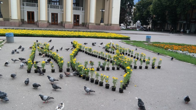 Квітковий прапор та герб: Полтава встановлює світовий рекорд з 12 тисяч кввітів - фото 1