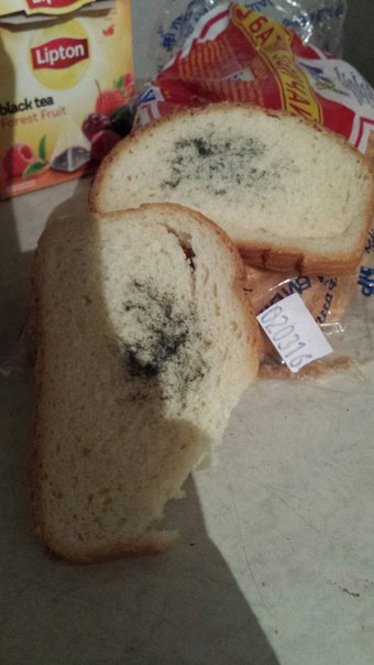 У Миколаївському супермаркеті продають "свіженький" хліб з цвіллю - фото 1