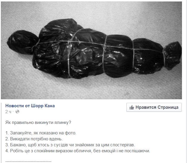 Як правильно винести ялинку з хати: майстерклас - фото 1 Як правильно винести ялинку з хати: майстерклас - фото 1