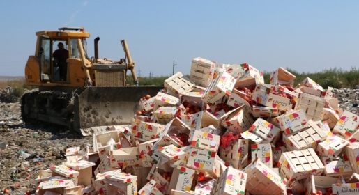 Як у Керчі "ховали" 4,4 тонн нектаринів (ФОТО, ВІДЕО) - фото 1