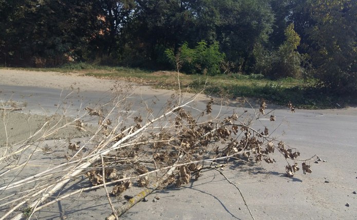 Чернівчани взялися самотужки ремонтувати дороги: яму залатали бетоном - фото 1