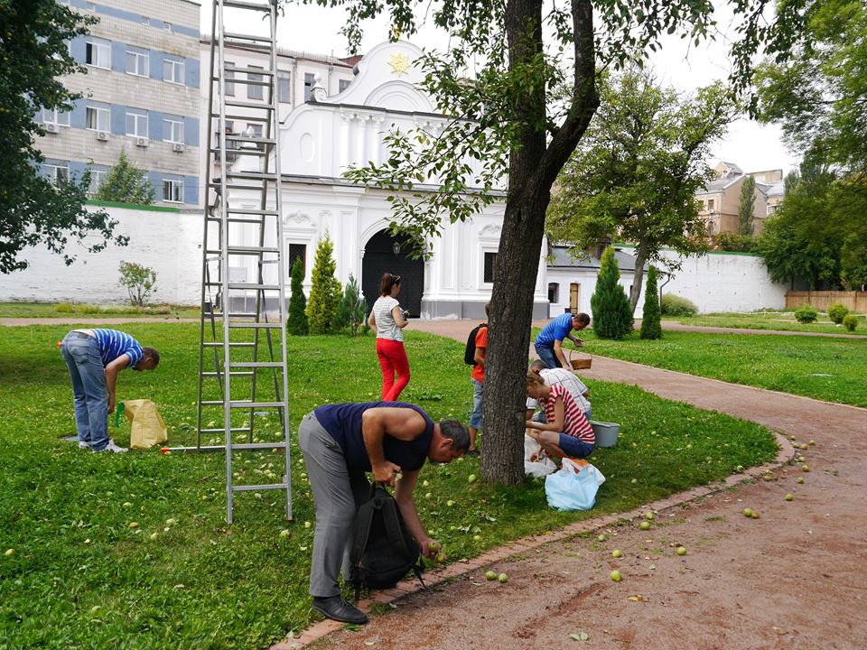 Переселенці збирають яблука у "Софії Київській" (ФОТОФАКТ) - фото 1
