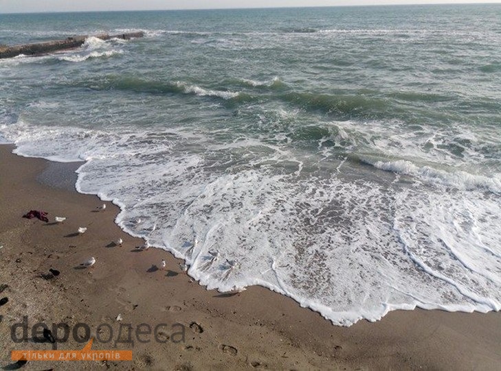 Одесити продовжують купатися в морі навіть сьомого листопада (ФОТОФАКТ) - фото 2
