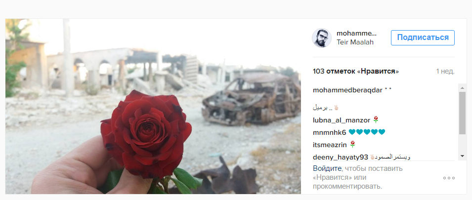 Російський наліт: Сирієць вразив Мережу яскравими фото квітів на тлі зруйнованих будинків - фото 7