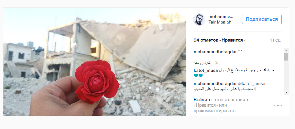 Російський наліт: Сирієць вразив Мережу яскравими фото квітів на тлі зруйнованих будинків - фото 1