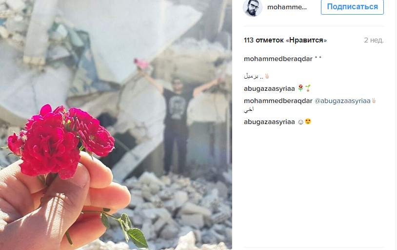 Російський наліт: Сирієць вразив Мережу яскравими фото квітів на тлі зруйнованих будинків - фото 6