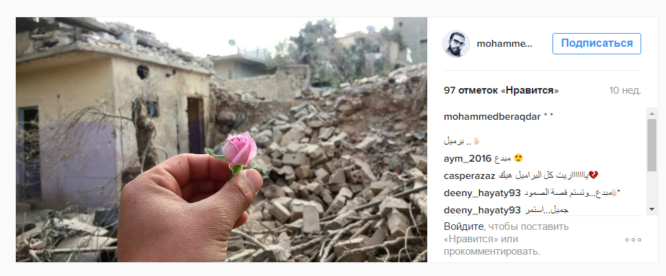 Російський наліт: Сирієць вразив Мережу яскравими фото квітів на тлі зруйнованих будинків - фото 5