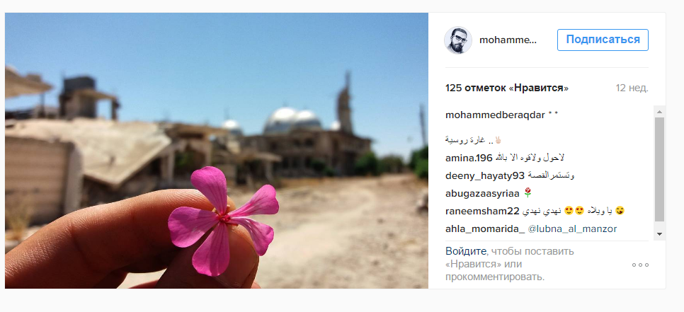 Російський наліт: Сирієць вразив Мережу яскравими фото квітів на тлі зруйнованих будинків - фото 4