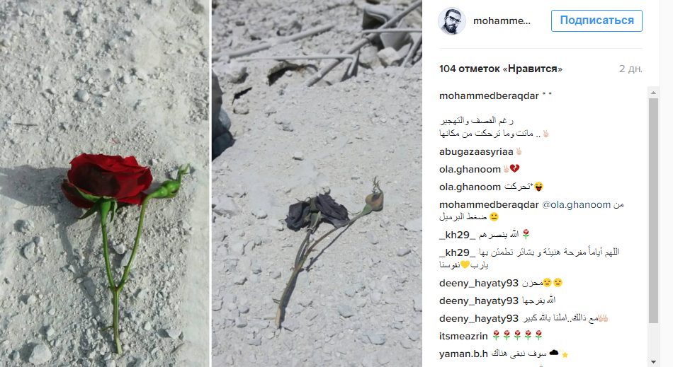 Російський наліт: Сирієць вразив Мережу яскравими фото квітів на тлі зруйнованих будинків - фото 3