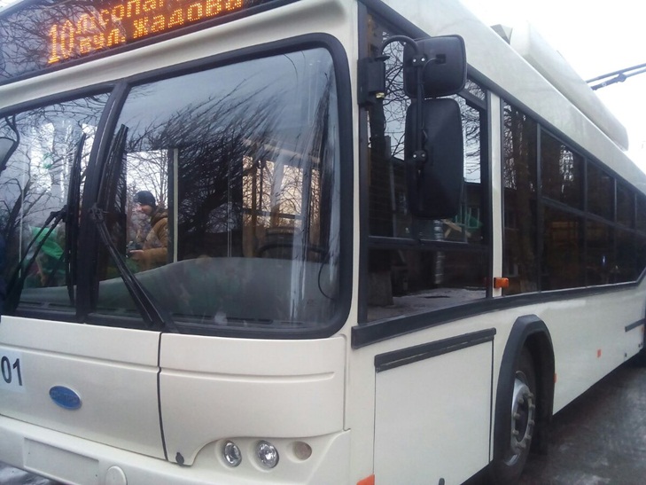 У Кропивницькому презентували нові тролейбуси (Фоторепортаж) - фото 7