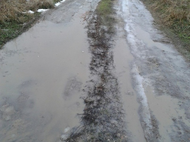 У Криму дорогу відремонтували жительці, яка скаржилась найбільше - фото 1