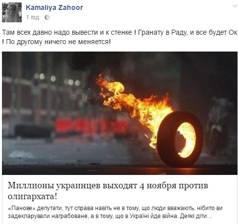 Дружина мільйонера Камалія закликала вийти проти олігархів під Раду - фото 1