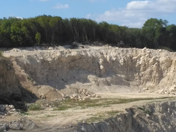 Ліси на Хмельниччині крадуть безбожно. Кара приходить не усім - фото 9