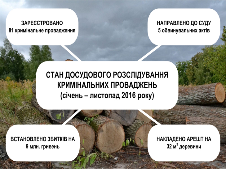 Ліси на Хмельниччині крадуть безбожно. Кара приходить не усім - фото 2