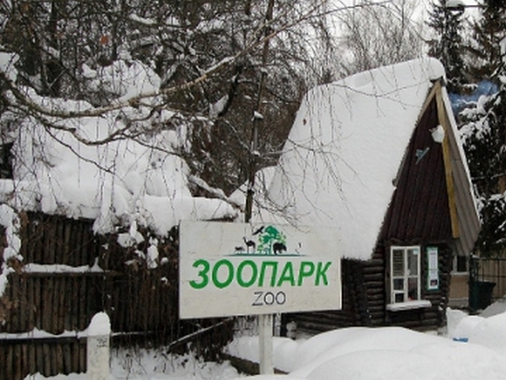 Старовинний замок, будинок з химерами, Голівуд та піца: 7 причин приїхати до Луцька (ФОТО) - фото 15