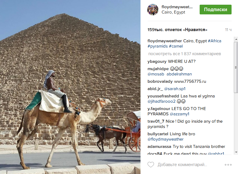Як Мейвезер осідлав верблюда в Єгипті - фото 1