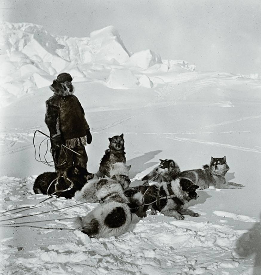 Как человек впервые покорил Южный полюс.
