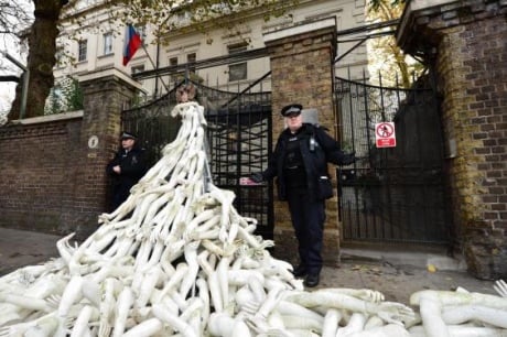 Посольство Росії у Лондоні закидали кінцівками людей  - фото 2