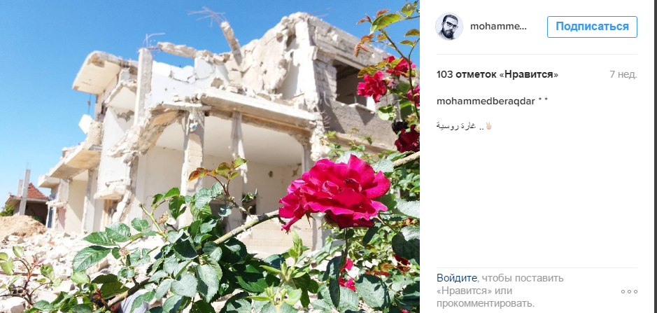 Російський наліт: Сирієць вразив Мережу яскравими фото квітів на тлі зруйнованих будинків - фото 2