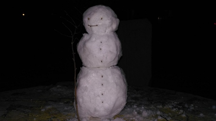 У спільноті Типовий Мелітополь городяни влаштували справжній флешмоб: хизуються першими сніговиками цієї зими - фото 5