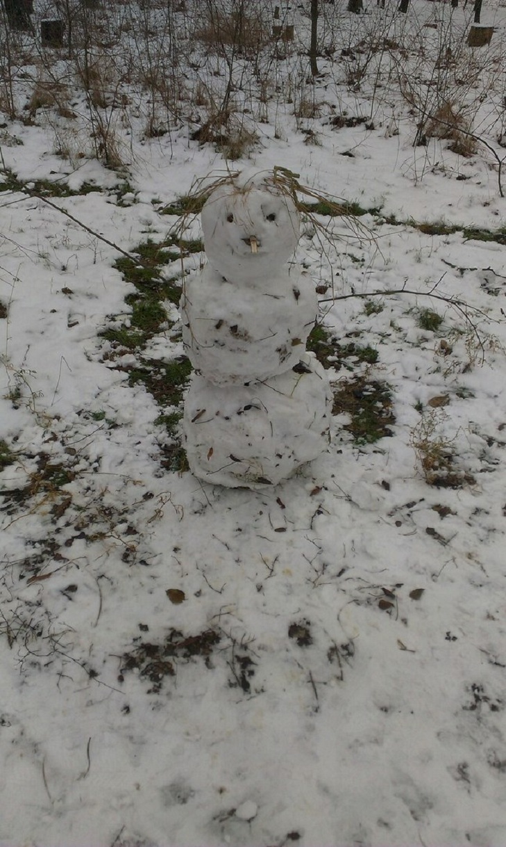 У спільноті Типовий Мелітополь городяни влаштували справжній флешмоб: хизуються першими сніговиками цієї зими - фото 4