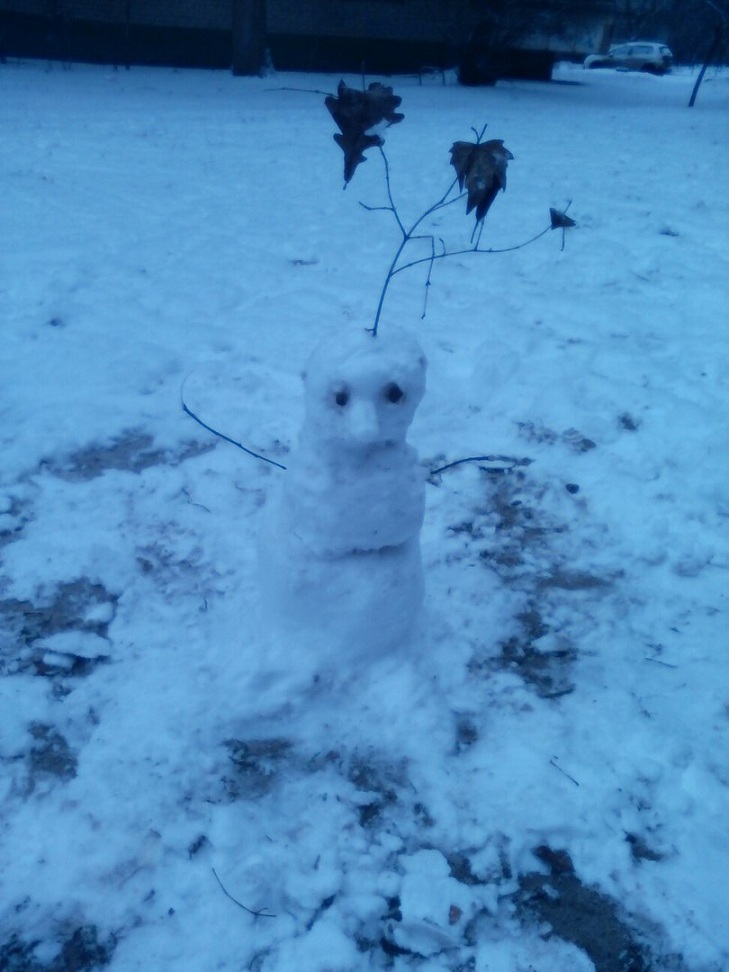 У спільноті Типовий Мелітополь городяни влаштували справжній флешмоб: хизуються першими сніговиками цієї зими - фото 1