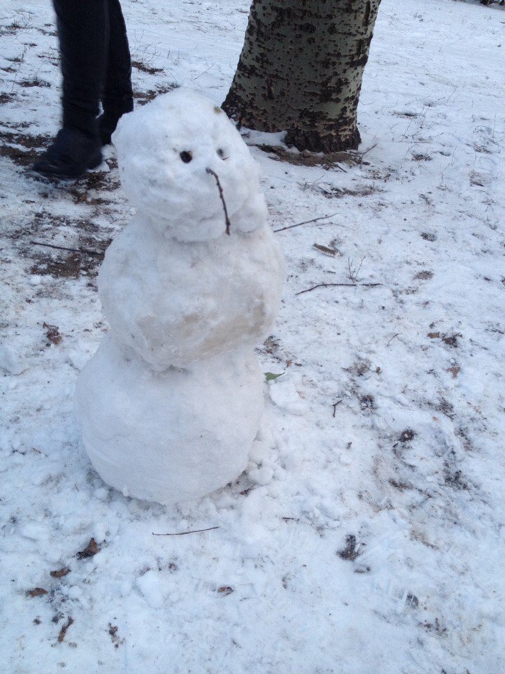 У спільноті Типовий Мелітополь городяни влаштували справжній флешмоб: хизуються першими сніговиками цієї зими - фото 3