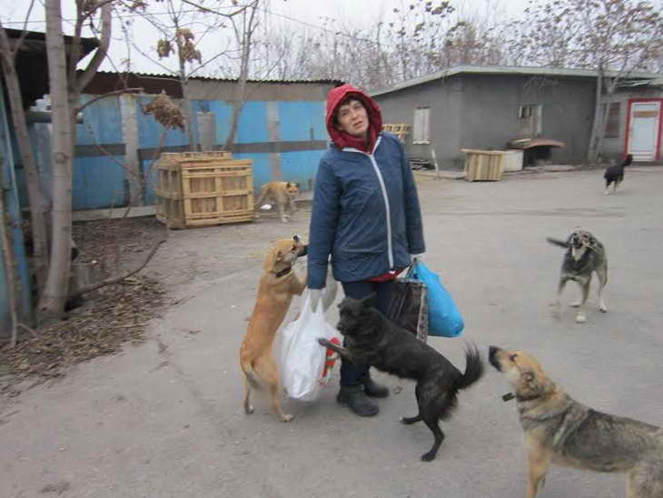 Запорізькі собаки-інваліди можуть не пережити прийдешню зиму: лежачі, безлапі та паралізовані – у морози вони приречені на смерть - фото 7